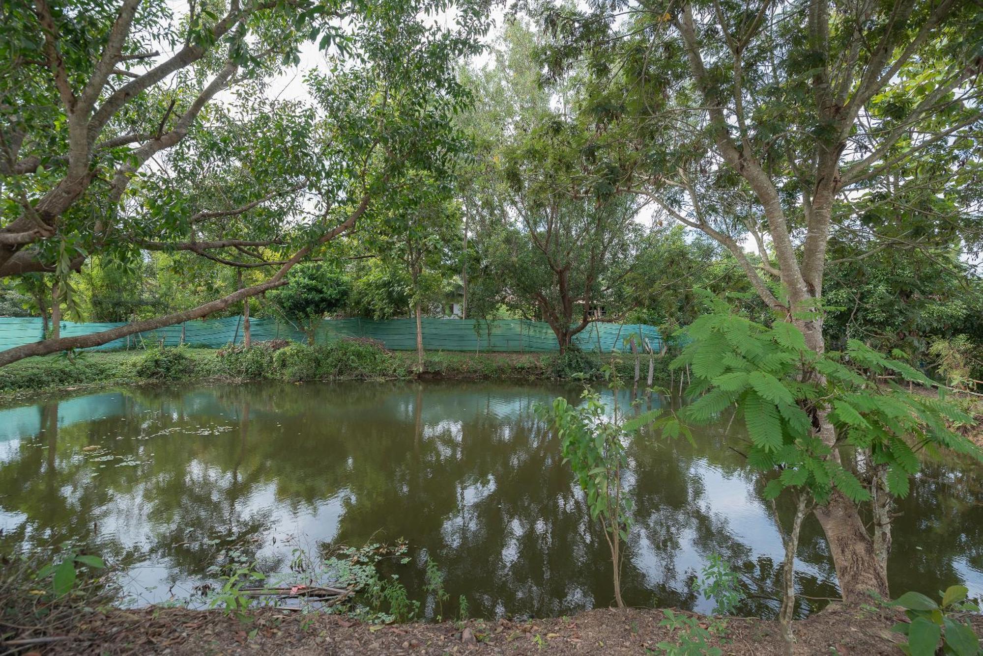 פאי Paddy Fields Haven - Natures Nest מראה חיצוני תמונה