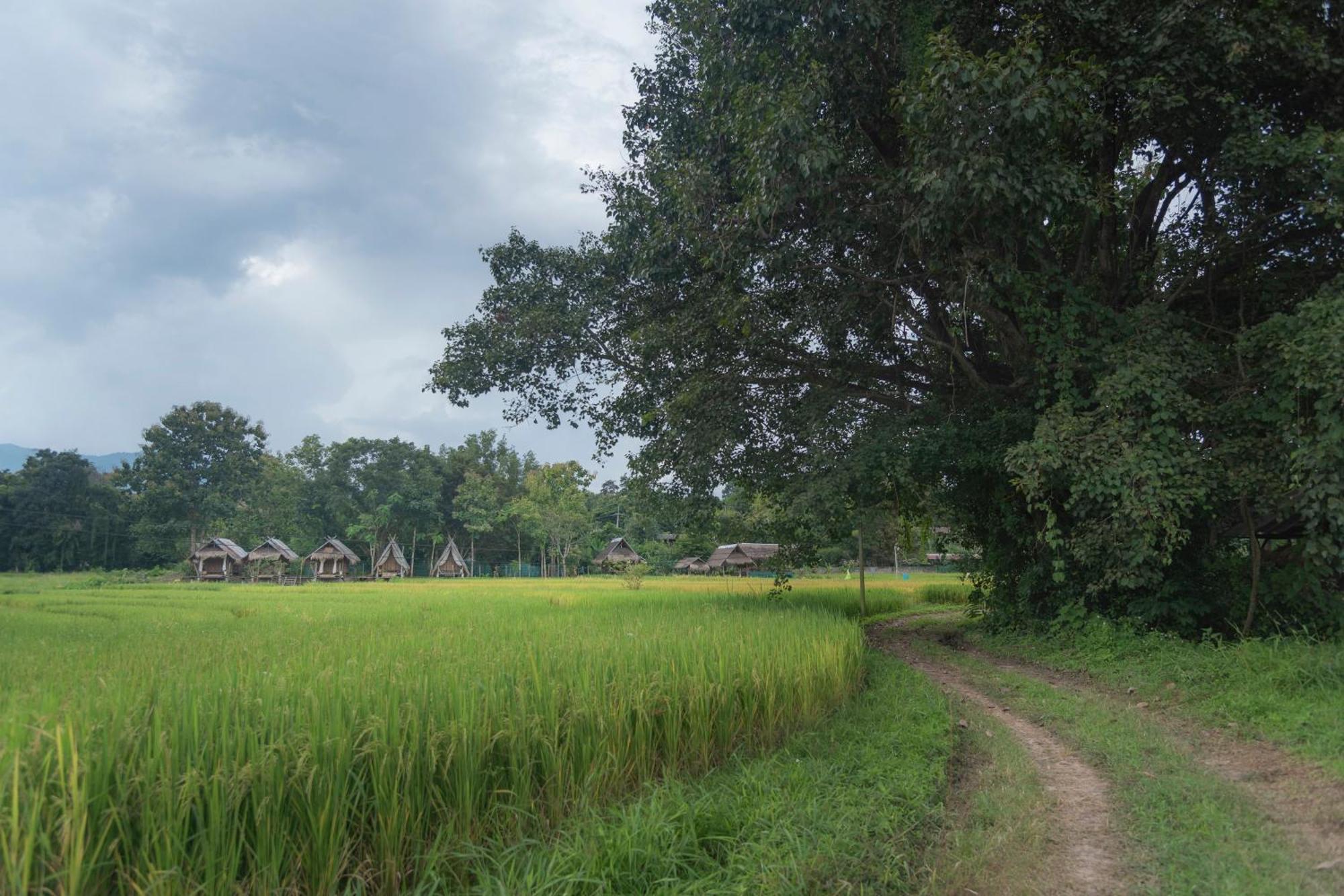 פאי Paddy Fields Haven - Natures Nest מראה חיצוני תמונה
